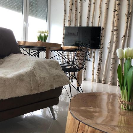 Apartament Artistic Luxury Skopje Zewnętrze zdjęcie